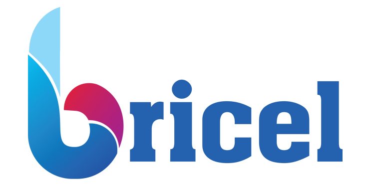 Bricel Ltd